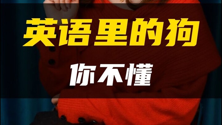 It turns out there are so many different ways to say “dog” in English!