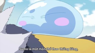 Bỗng dưng thích xem sumo #AniMeme