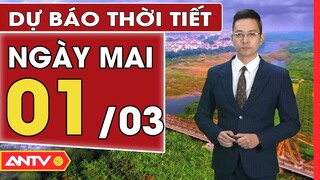 Dự báo thời tiết ngày mai 1/3: Hà Nội mưa và rét đậm, nhiệt độ thấp nhất 11 độ C | ANTV