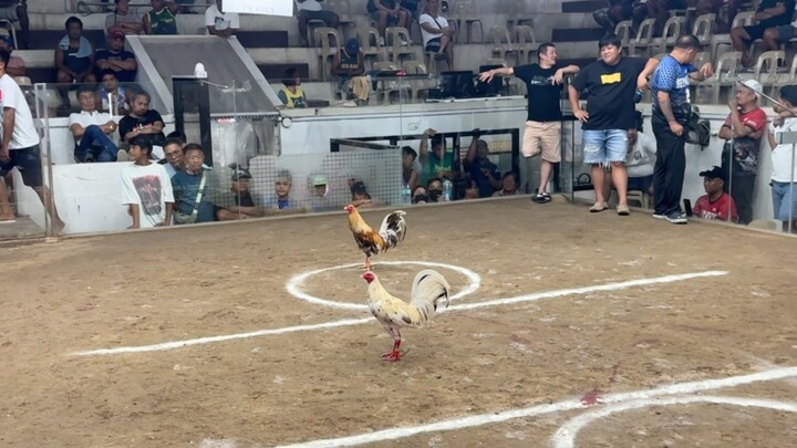 PCC 3cock @SOLANA SPORTS AND AMUSEMENT CENTER - WLW