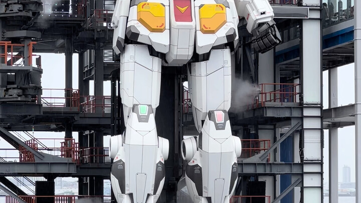 لأول مرة في حياتي أُختار بحزم شديد هكذا