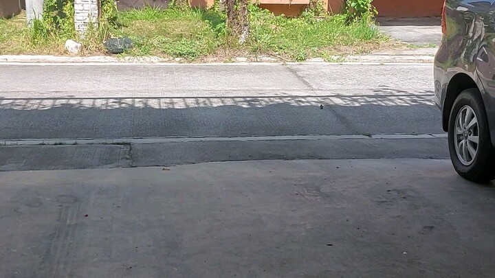 My Balinsasayaw🥰🥰