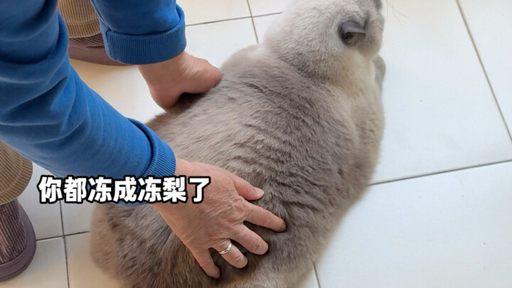 Khi bạn có một bà ngoại biết may vá! Bạn sẽ nhận được…