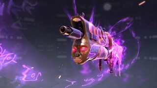 how to use bizon properly
