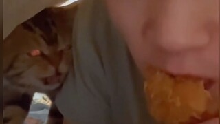 Cat: You old man are eating alone again!