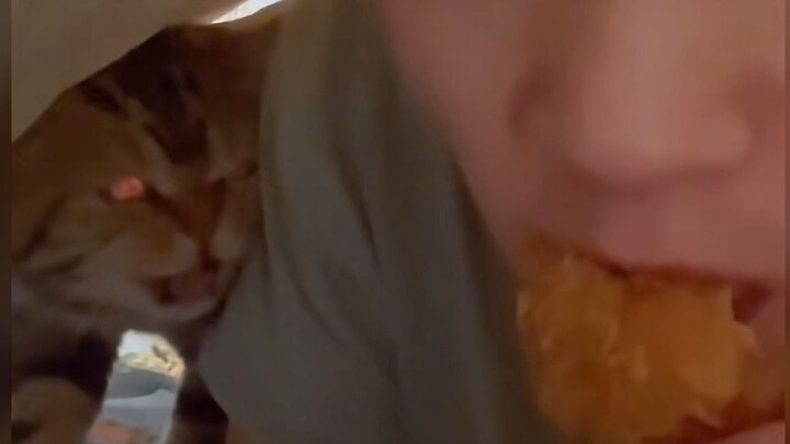 Cat: You old man are eating alone again!