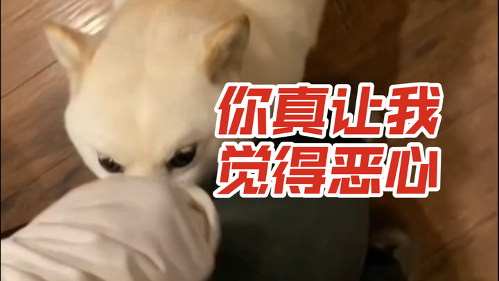 我只是犯了每个人类都会犯的错