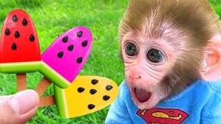 Monkey Baby Bon Bon กินไอศครีมผลไม้แตงโมเป็นอาหารกลางวันและว่ายน้ำกับลูกเป็ดในสระ