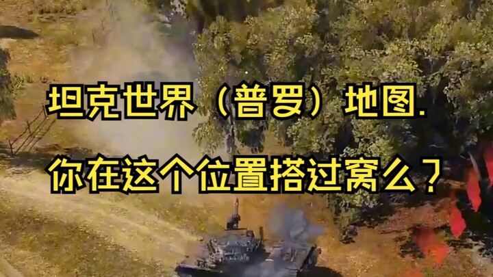 World of Tanks (Pro) Map: Have you ever set up a base in this spot?