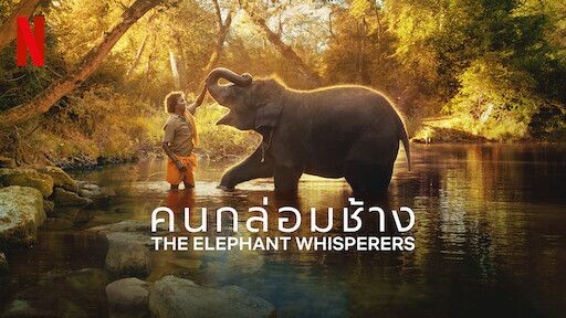 The Elephant Whisperers คนกล่อมช้าง