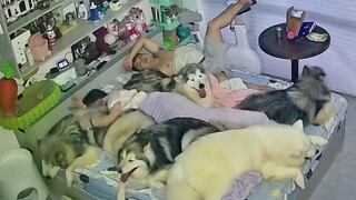 شربت كثيراً لدرجة أنني حملت الكلب إلى السرير، وقضيت الليلة أتساءل لماذا توقف المكيف عن العمل.