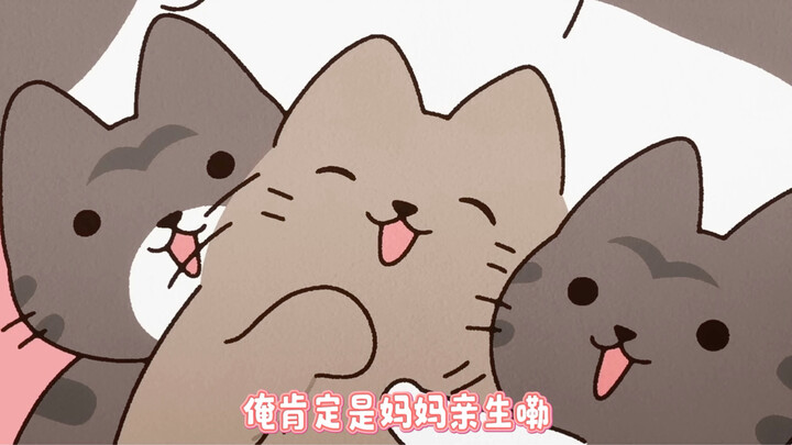 Dahulu Kala Ada Seekor Kucing dari Henan