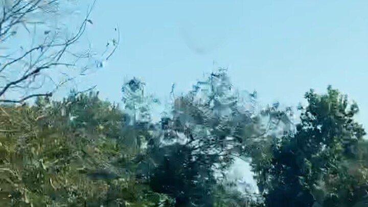 Celebrating 50th Karbi Youth Festival Karbi Anglong Diphu