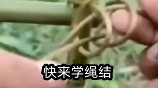 这么实用的绳结快进来给我学！