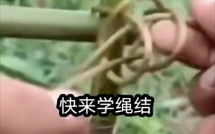 这么实用的绳结快进来给我学！