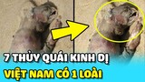 💥7 THỦY QUÁI kinh hoàng CÓ THẬT trên thế giới - Việt Nam có 1 loài | TIN GIẢI TRÍ