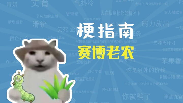 “ไซเบอร์เฒ่าเกษตรกร” คือมีมอะไร? 【คู่มือมีม】