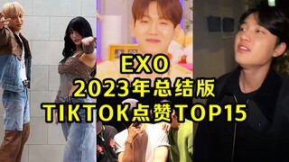 Kai爷跳舞承包了！伯贤太可爱了怎么办上榜！D.O有效Solo！EXO 23年的TIKTOK点赞TOP15！