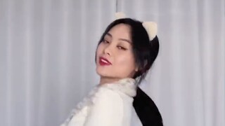 [Đèn sàn catwalk AOA] Lấy đôi tất lụa đen và giày cao gót của hai năm trước ra để cho mọi người thấy