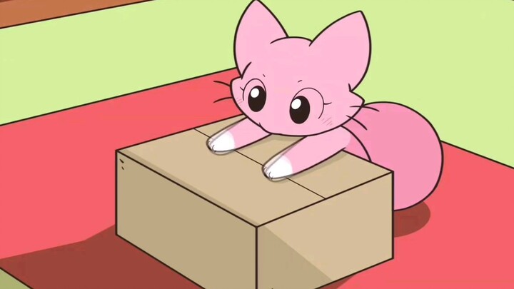 The Cat and the Box [Animation]