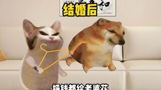 男生婚前婚后的区别
