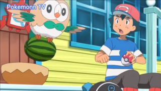 Pokemon Sun & Moon (Ep 4.2) _ Mokuroh #Pokemon_tap4