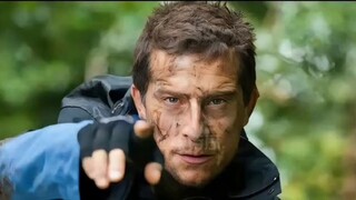 Evaluasi peringkat kekuatan pertempuran Peppa Pig