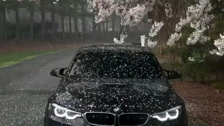 #BMW #宝马 #BMWEdit #CarEdit #LuxuryCars #豪车 #MPower #DreamCar