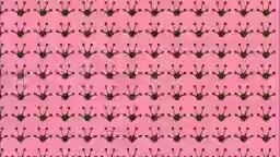 Cô Nàng Hinako Tập 2