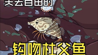 妻管严钩吻杜父鱼
