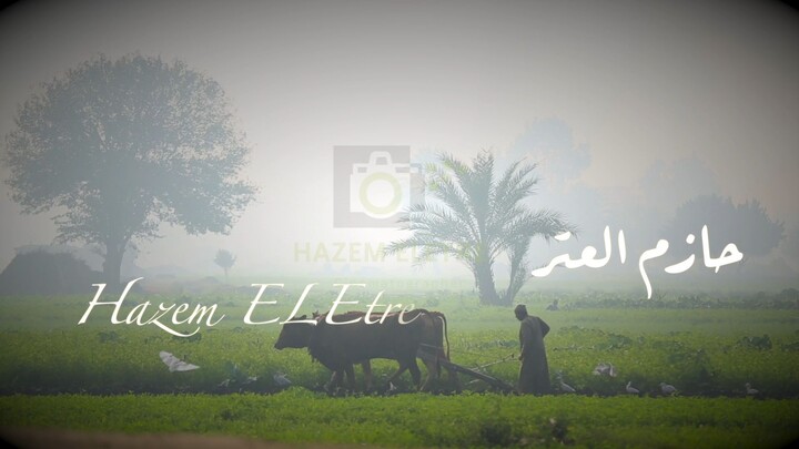 1 Minute in Egyptian Farm