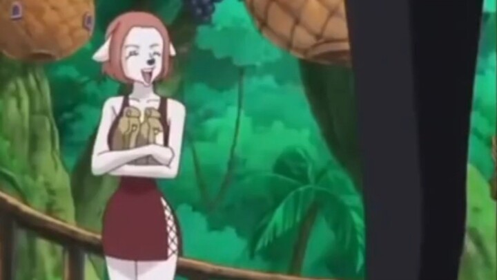 sanji sedang jatuh cinta
