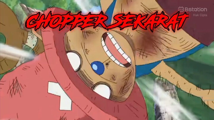 Momen Zoro ingin menyelamatkan Chopper malah kena timpa batu🗿