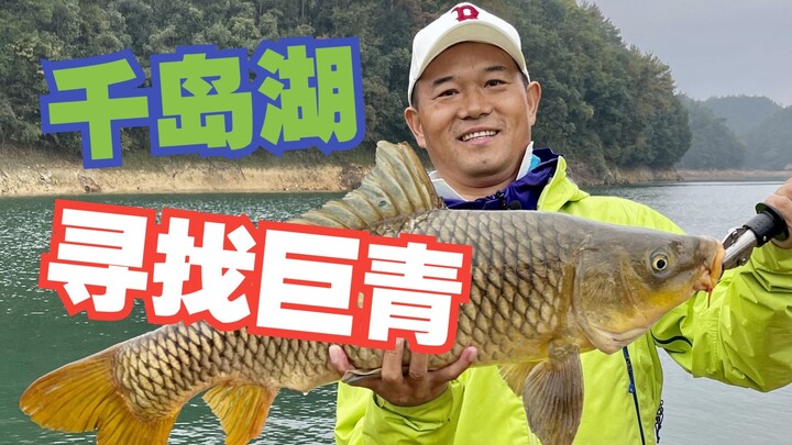 Searching for Giant Bluefin in Qiandao Lake