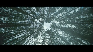 All-Quiet-On-The-Western-Front-2022