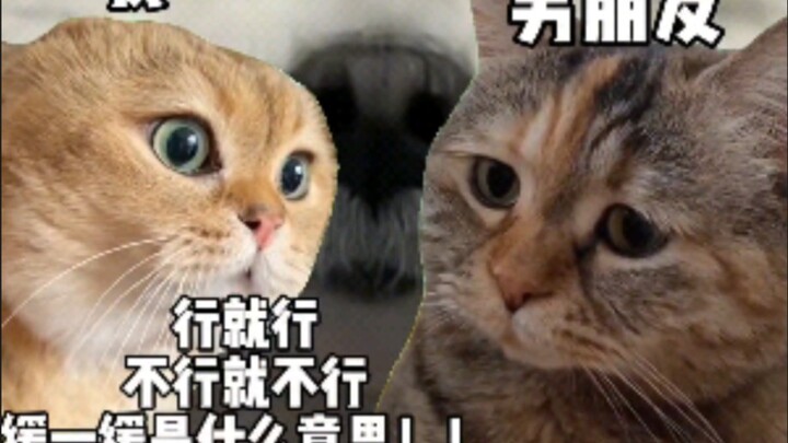 一天炒菜三次很多嘛