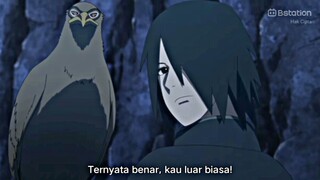 Elang aja langsung luluh ke Sasuke 🗿