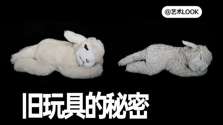 She spent ten years filming toys and uncovered a tear-jerking truth!