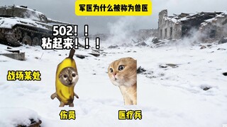 Tại sao bác sĩ quân y lại được gọi là bác sĩ thú y?