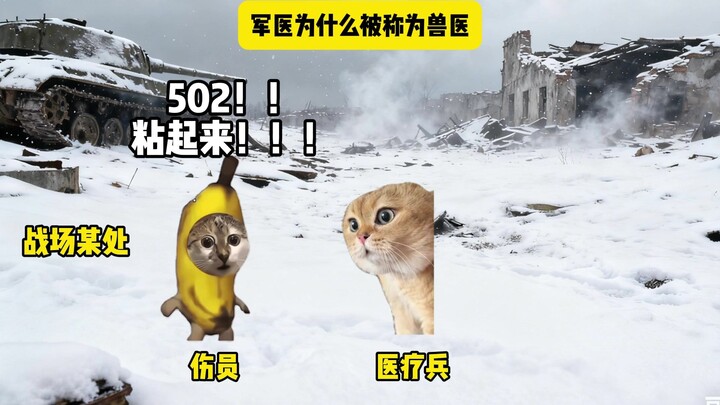 Why are military doctors called veterinarians?