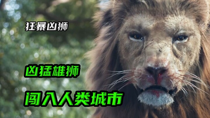 A ferocious lion breaks into the city, leaving several residents dead one after another.