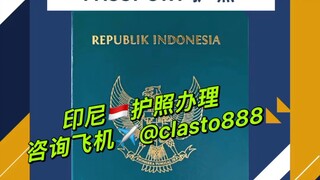 🇮🇩印尼护照一怎么用？限高人群在国内坐高铁飞机使用海外开设多个账户使用孩子在国内上国际学校使用🇮🇩想要第二身份，脱离现身份者使用申请第三国身份，当跳板使用印尼护照 #小国护照 #