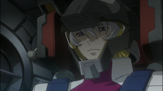 mobile suit Gundam seed "CE73 STARGAZER"