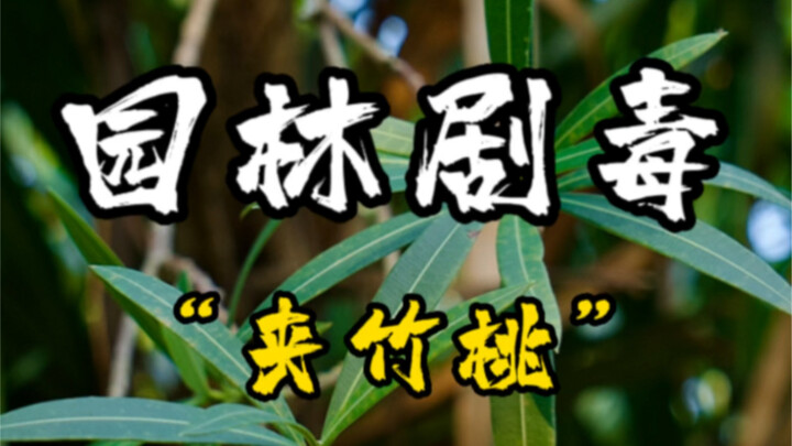 漂亮底下蕴藏危险还非常常见！