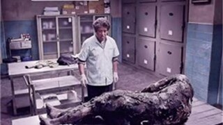 Ông già đang làm việc ở nhà xác, thấy xác chết lật úp, ông nghĩ rằng đó là do ông say rượu.