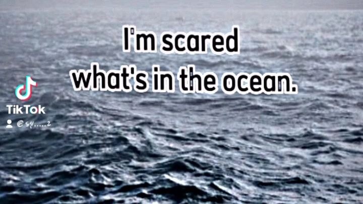 I'm not scared of Ocean