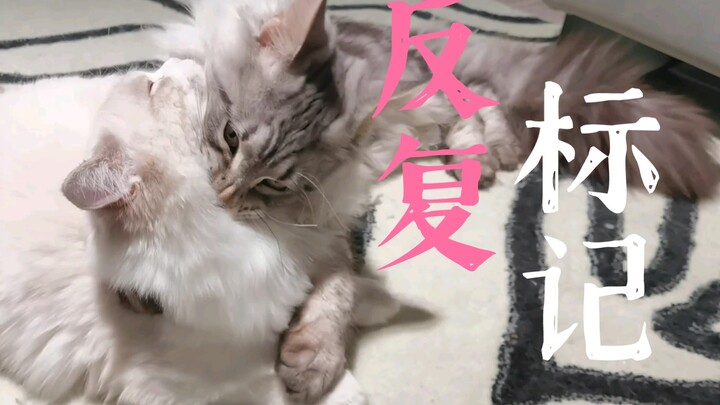 ليأكله هو بدلًا من ذلك...