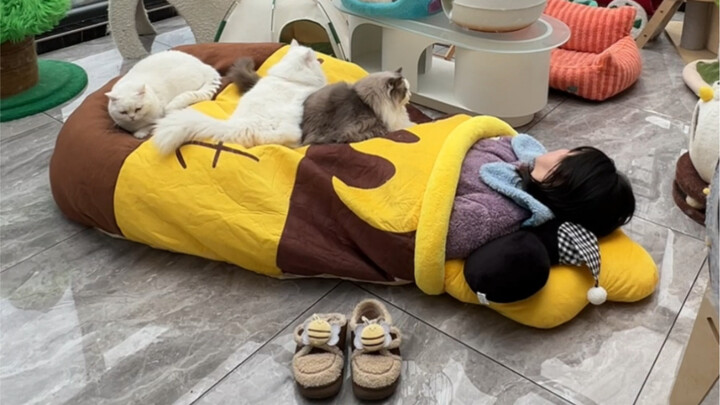 ไม่คิดเลยว่าฉันจะต้องมาพึ่งพาอาศัยอยู่ในบ้านแมว