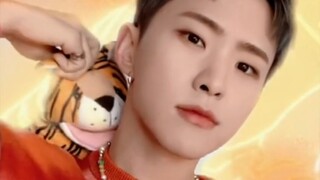 【SEVENTEEN】那些年你没看过的小17短视频2.0