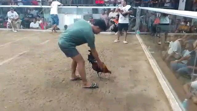 doyti game farm 💪